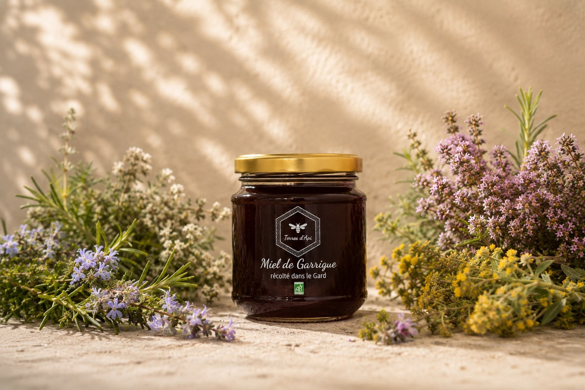 Miel de Garrigue du Gard